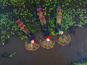 media-block::gallery_row::100::center::Transitioning ASEAN towards the AI era: Digital Trade Review of the Association of Southeast Asian Nations | OECD
